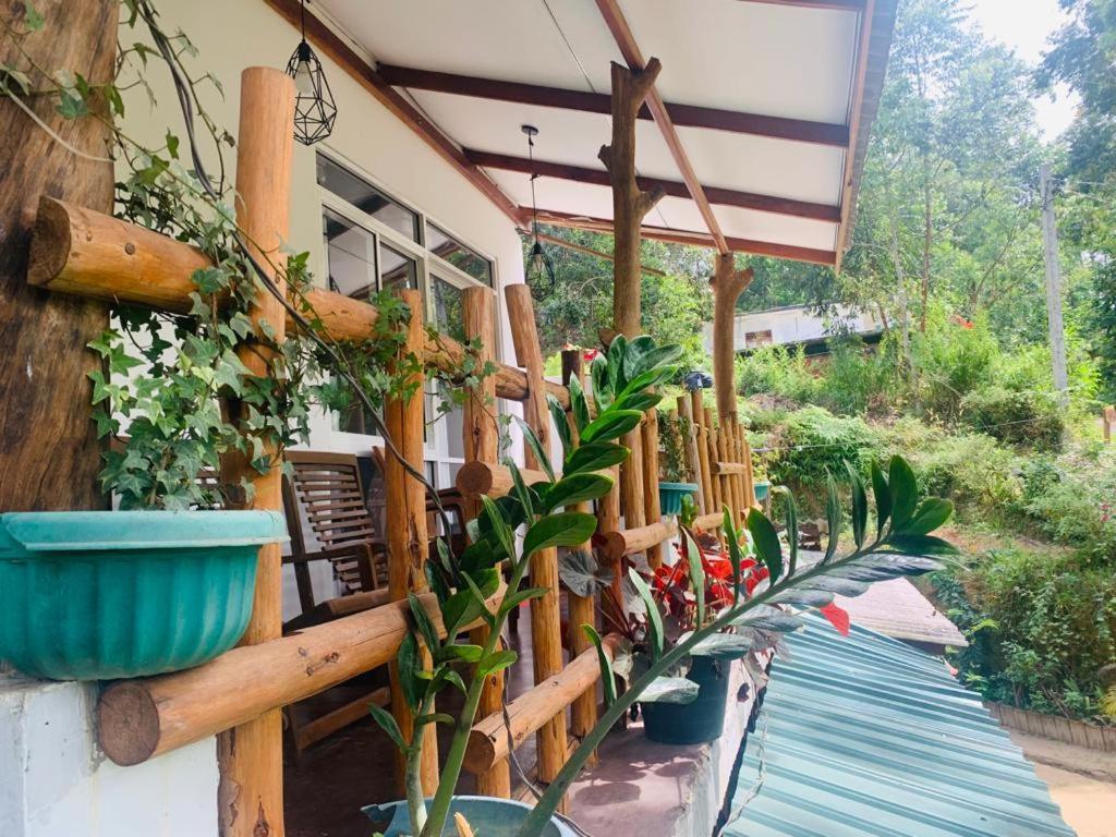 Ella Forest Eco View Ngoại thất bức ảnh