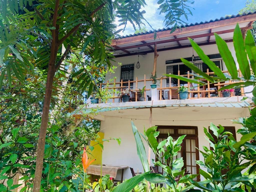 Ella Forest Eco View Ngoại thất bức ảnh