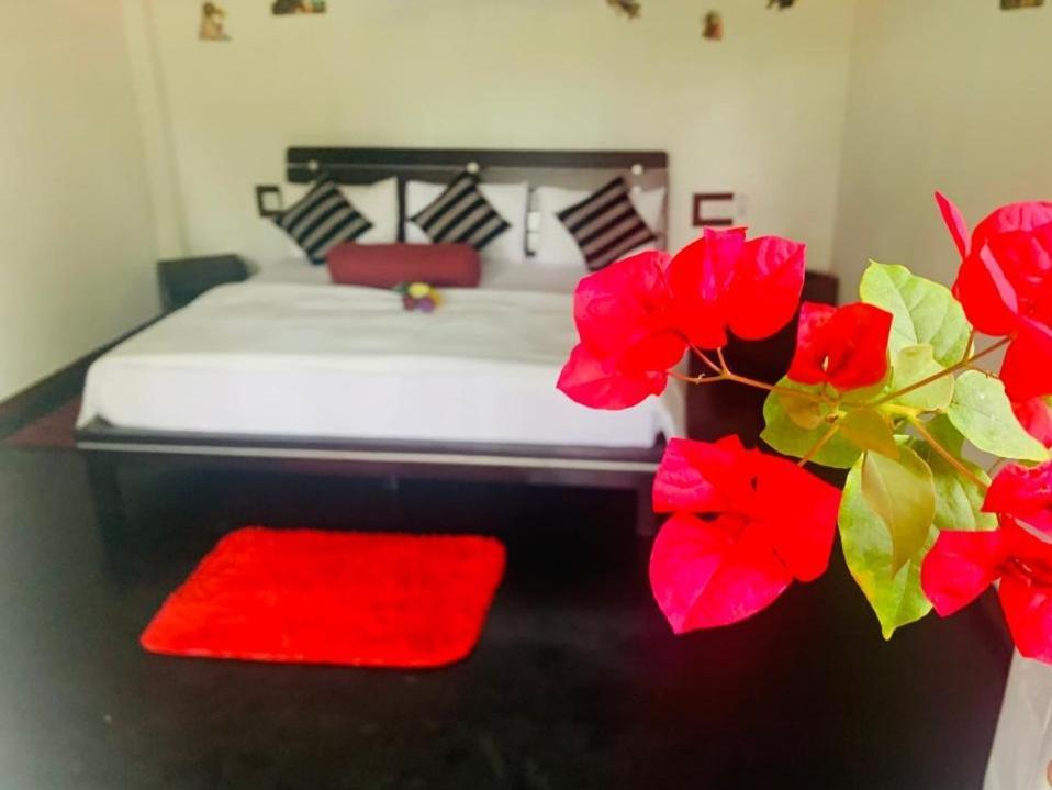 Ella Forest Eco View Ngoại thất bức ảnh