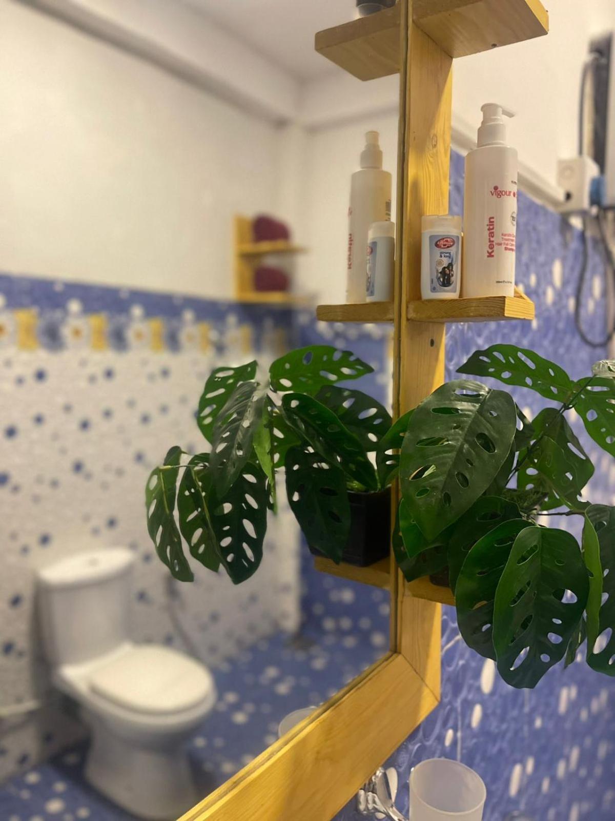 Ella Forest Eco View Ngoại thất bức ảnh